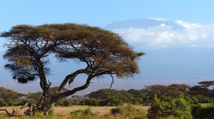 kilimanjaro-720845_1280